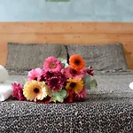 Corso 205 X Ap Apartment